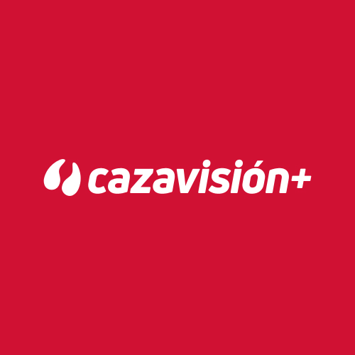 Cazavisión